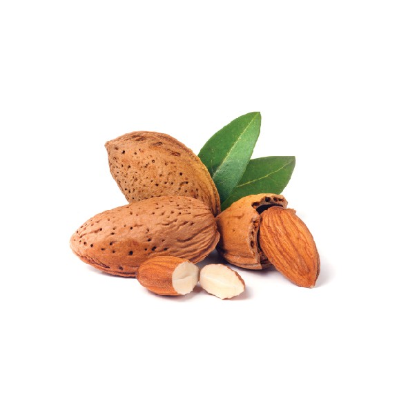 Huile d'amande douce,raffinée,Procédé d'obtention,Amande,fruits,Nom botanique,Prunus dulcis,Qualité,Huile d’amande douce raffinée,qualité cosmétique,Conditions de conservation,Huile végétale stable,abri de la chaleur,lumière,Indications,Peau,Peau sèche,très sèche,fragile,délicate,Peau fragile,contour des yeux,Démaquillant naturel,Huile de massage,bébé,Croûte de lait,Irritation,brûlure,démangeaison,crevasse,vergetures,femme enceinte,gerçure des mamelons,dermatite,psoriasis,eczéma,Cheveux,Cheveux secs,crêpés,cassants,fourchus,Cheveux frisés,afros,Cheveux colorés,Antipelliculaire.