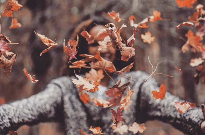 zaitynaturalcosmetics-blog-cheveux-en-automne-comment-en-prendre-soin